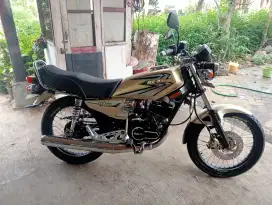 Rx king LE gold