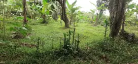 Di jual tanah darat