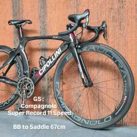 Sepeda RB MCIPOLLINI RB1000