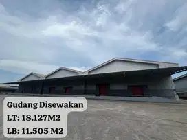 Disewakan Gudang 1,1 Hektar Deltamas