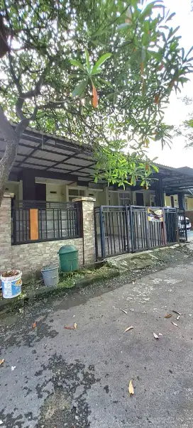 Di Kontrakan TAHUNAN rumah CIBINONG