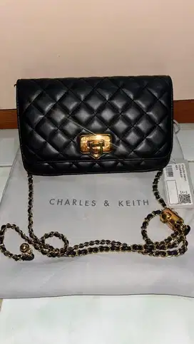 Charles & Keith Clutch Bag