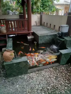 Tukang kolam,kolam koi.