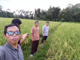 Kavling tanjung laut Fajar Baru