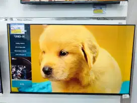 Promo kredit tv hisense 50 4K google tv bunga 0% dan free 1x cicilan