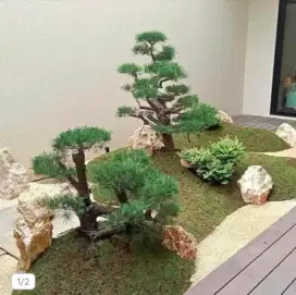 Taman Zen garden