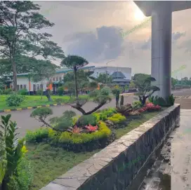 Taman depan kantor