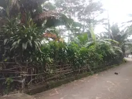 Jual Cepat Tanah Harga Murah dibawah NJOP Klapa Nunggal Cileungsi