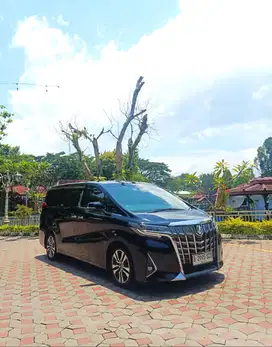 TOYOTA ALPHARD 2.5 G 2019