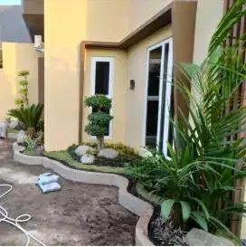 Taman rumput depan rumah di Kalimalang Bekasi