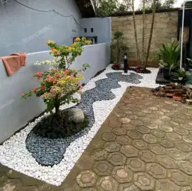 Taman kering blakang rumah di  Cibubur Bogor