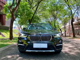 BMW X1 F48  sDrive18i xLine
