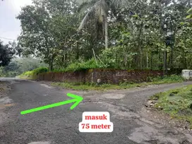 JUAL TANAH DI SRIKAYANGAN SENTOLO KULONPROGO MURAH
