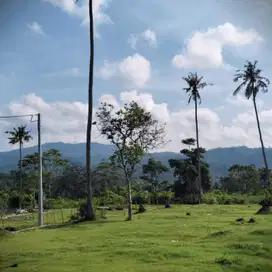 Jual tanah 36 are are harga 175/ are lokasi lalanglinggah selbar