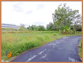 Tanah Murah Sleman, Jl.Kaliurang km 10, Sardonoharjo, Ngaglik