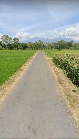 JUAL TANAH SAWAH NGEPEH LOCERET NGANJUK