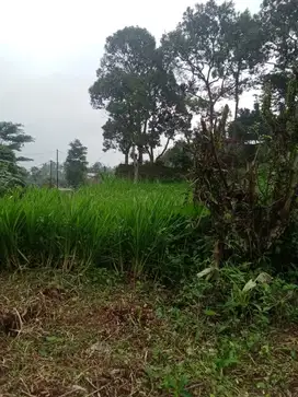 di jual lahan kebun cocok untuk villa di Lido Bocimi cigombong