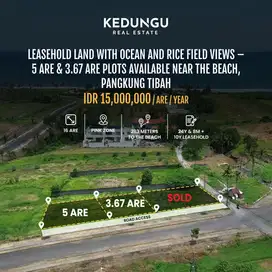 Leasehold Land with Ocean and Rice Field Views – Pangkung Tibah