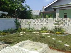 Tukang taman minimalis/tukang taman murah