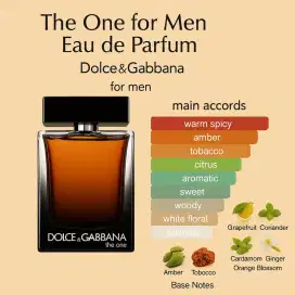 Dolce&Gabbana The One For Men Eau de Parfum for men