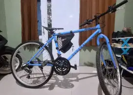 Sepeda Commuter bike federal