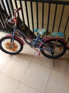 Sepeda wimcycle