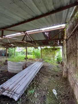MONGGO DIJUAL TANAH