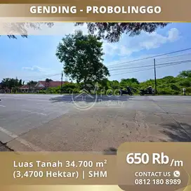 Lahan 3.4 Hektar Raya Gending Probolinggo Dekat Exit Tol