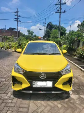 Ayla X ADS 2024 . Like New!!