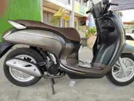 Scoopy stylish 2023 gress