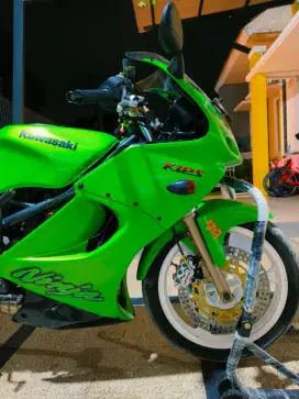Ninja RR 2007 jos gandos