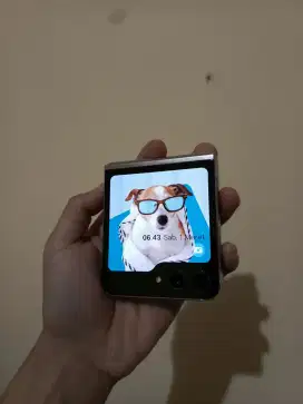 Samsung z flip 5 greenline tompel