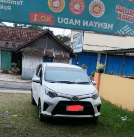 Calya putih 1200