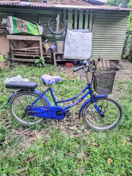 Dijual sepedha mini merk excellent ukuran 20