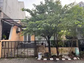 Dijual Rumah Palm Spring Regency Jambangan Surabaya