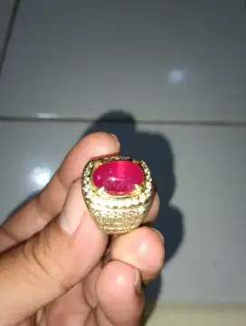 Ruby pegeon blood