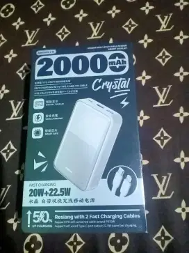 Powerbank 20.000 mAh