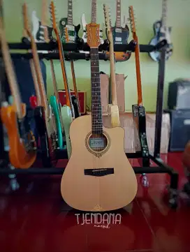 Dluxe dw-100 Akustik Elektrik