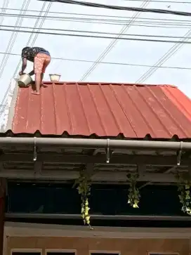 Perbaikan atap bocor dak rembes genteng bocor tembok rembes dll
