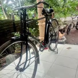 Phoinix kakek dahulu