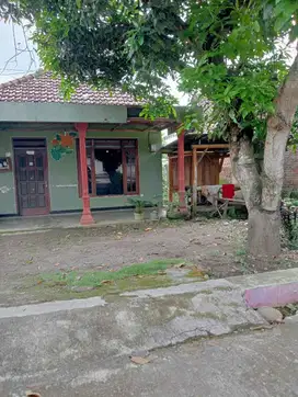 Jual rumah murah di ngampungan bareng Jombang 60 meter ke jlnkabupaten