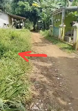Dijual Tanah Kebun 195m² Jonggol, Cileungsi Bogor timur