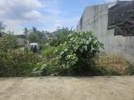 TANAH MURAH DI MEDAN JOHOR MEDAN