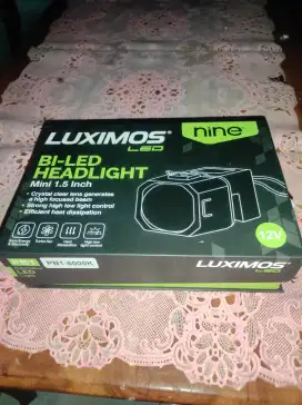 Mini Biled 1.5 inch