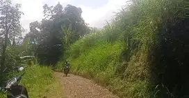 Tanah kebun jeruk pepaya dijual Bocek karangploso Lt3200 akses truck