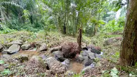 Kebun Pinggir Sungai di Kaki Gunung Burangrang Bojong