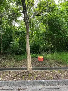 Dijual Kavling Taman Simpruk Lippo Cikarang, 600m² Hanya 4 Juta/m²!