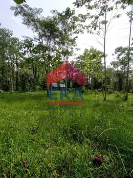 Dijual Tanah di Jalan K.H Malik, Kedungkandang Malang