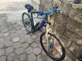 Mosso Falcon v 27.5