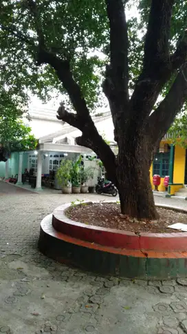 Dijual tanah dan bangunan di Penganten Ali Ciracas Pasar Rebo Jakarta